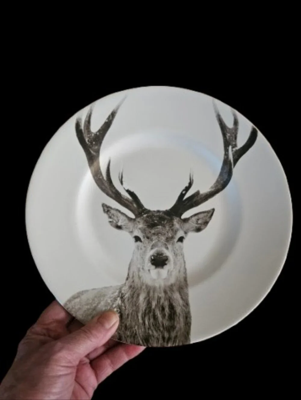 *PIER 1 Imports Snow Forest Winter Animal Salad/Appetizer Plates Set Of 4